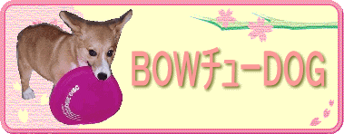 BOW`[DOG